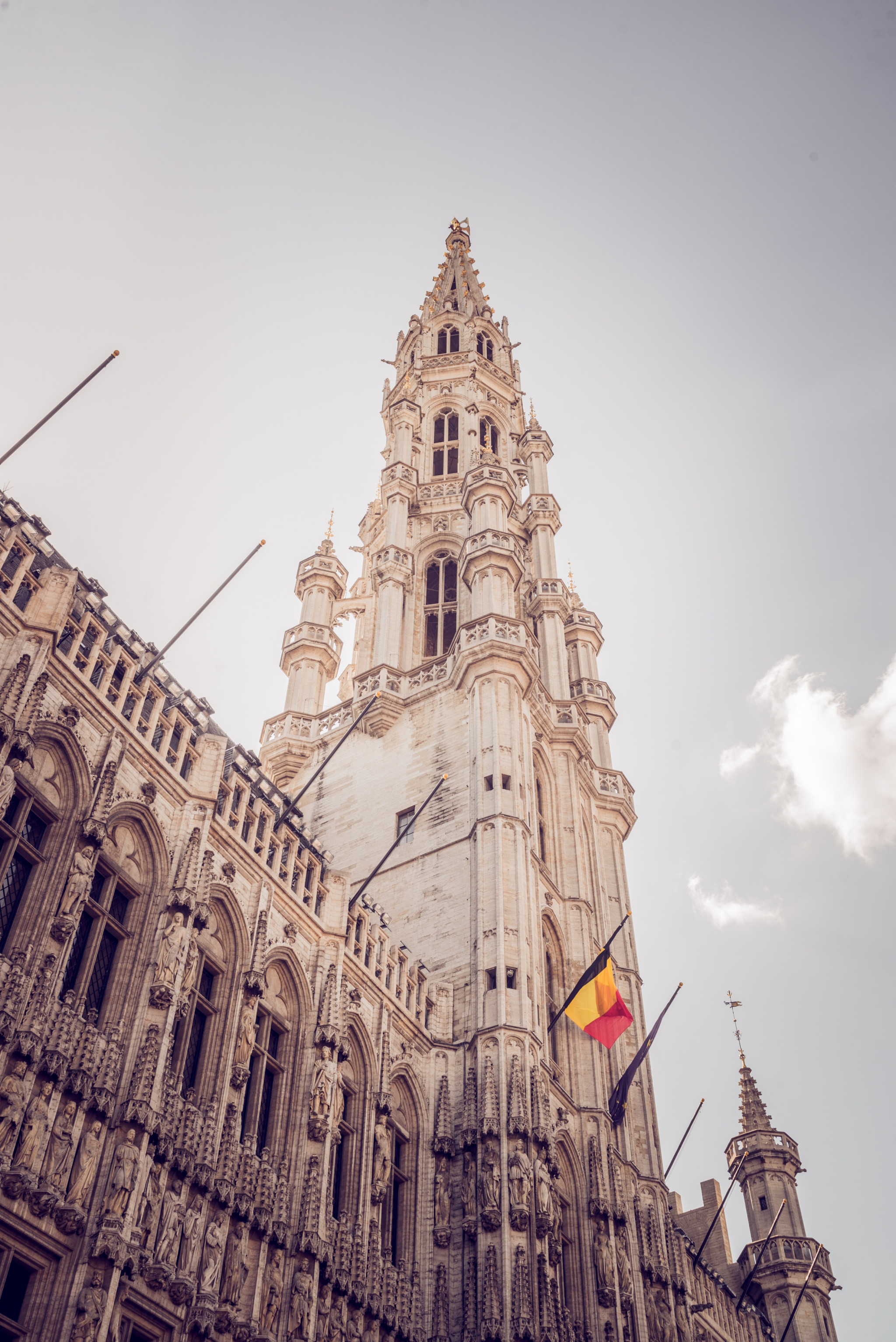 14 infos insolites sur Bruxelles à découvrir ! 14 infos insolites sur Bruxelles à découvrir !